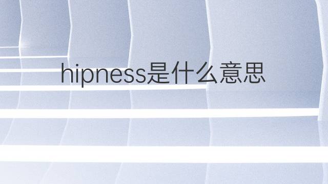 hipness是什么意思 hipness的中文翻译、读音、例句