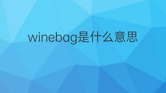 winebag是什么意思 winebag的中文翻译、读音、例句