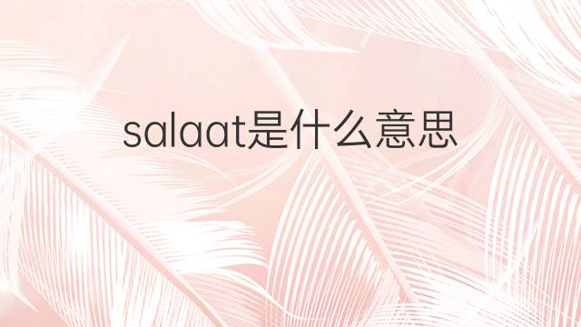 salaat是什么意思 salaat的中文翻译、读音、例句