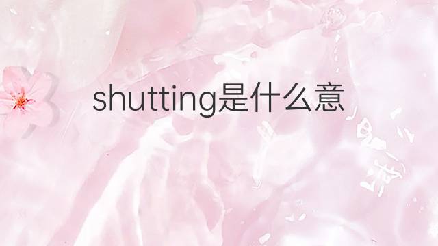 shutting是什么意思 shutting的中文翻译、读音、例句