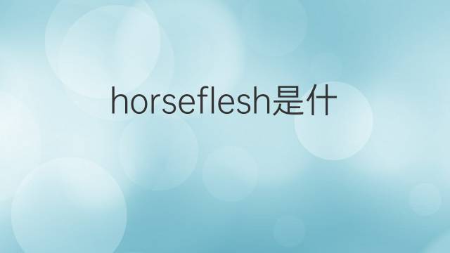 horseflesh是什么意思 horseflesh的中文翻译、读音、例句