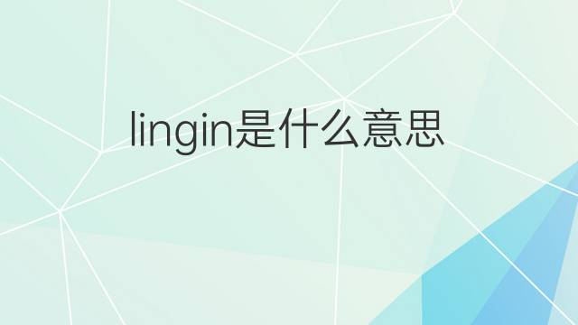 lingin是什么意思 lingin的中文翻译、读音、例句