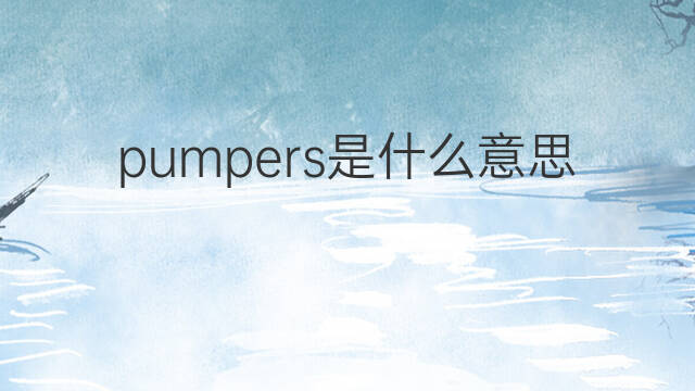 pumpers是什么意思 pumpers的中文翻译、读音、例句