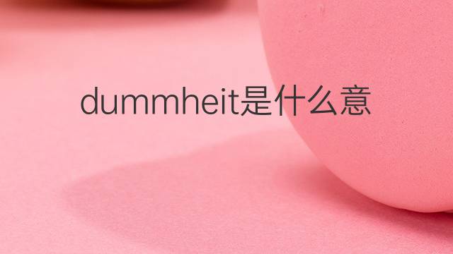dummheit是什么意思 dummheit的中文翻译、读音、例句