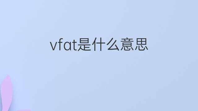 vfat是什么意思 vfat的中文翻译、读音、例句