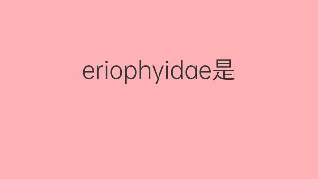 eriophyidae是什么意思 eriophyidae的中文翻译、读音、例句