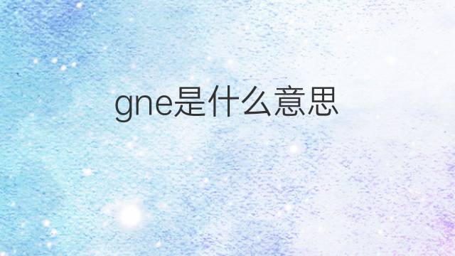 gne是什么意思 gne的中文翻译、读音、例句