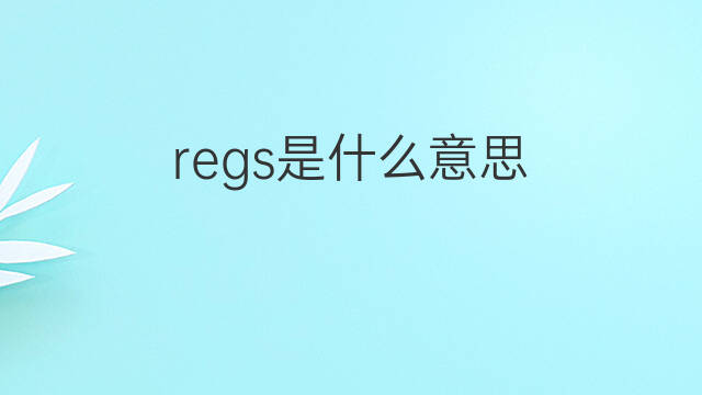 regs是什么意思 regs的中文翻译、读音、例句