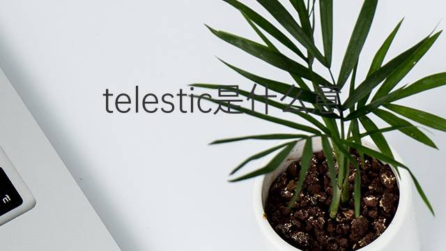 telestic是什么意思 telestic的中文翻译、读音、例句
