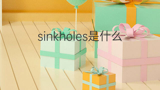 sinkholes是什么意思 sinkholes的中文翻译、读音、例句