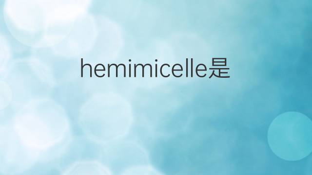 hemimicelle是什么意思 hemimicelle的中文翻译、读音、例句