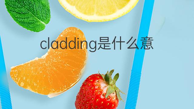 cladding是什么意思 cladding的中文翻译、读音、例句