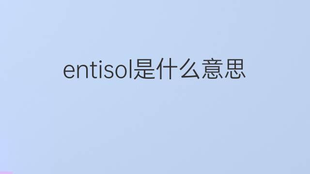entisol是什么意思 entisol的中文翻译、读音、例句