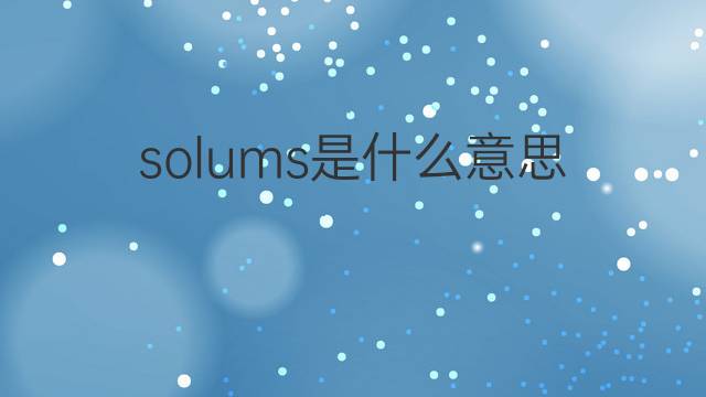 solums是什么意思 solums的中文翻译、读音、例句