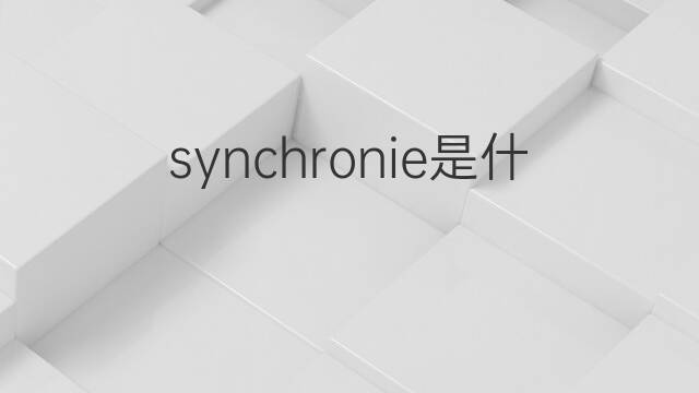 synchronie是什么意思 synchronie的中文翻译、读音、例句