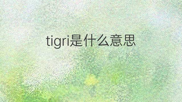 tigri是什么意思 tigri的中文翻译、读音、例句