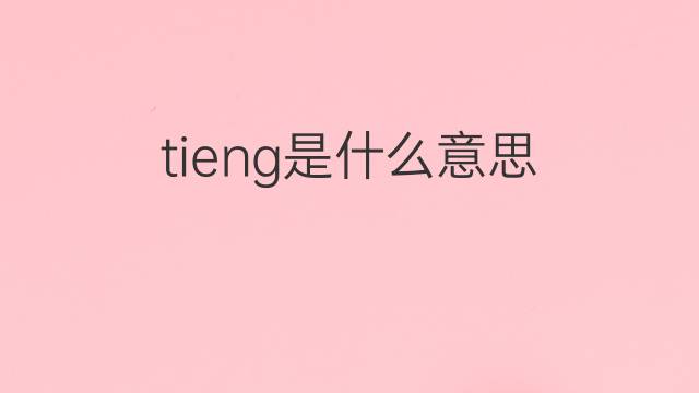 tieng是什么意思 tieng的中文翻译、读音、例句