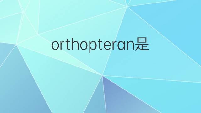orthopteran是什么意思 orthopteran的中文翻译、读音、例句