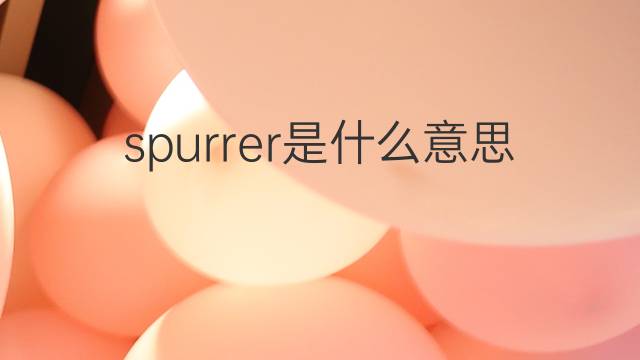 spurrer是什么意思 spurrer的中文翻译、读音、例句