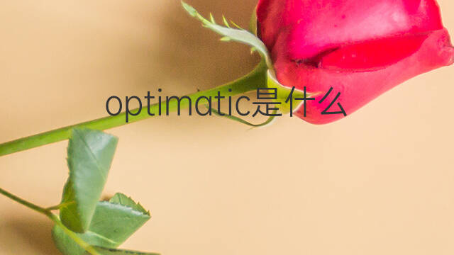 optimatic是什么意思 optimatic的中文翻译、读音、例句