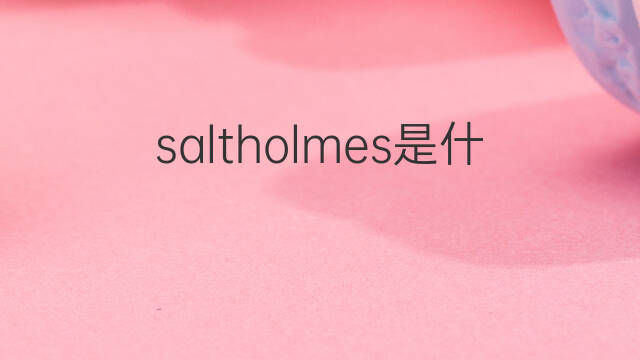 saltholmes是什么意思 saltholmes的中文翻译、读音、例句