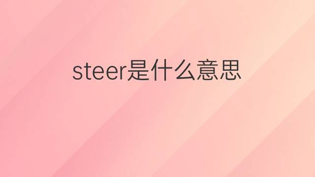 steer是什么意思 steer的中文翻译、读音、例句