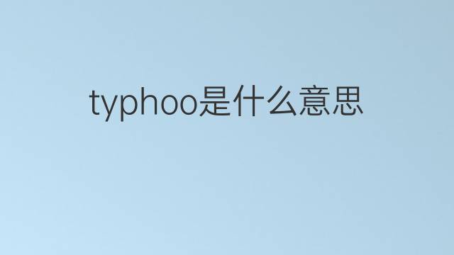 typhoo是什么意思 typhoo的中文翻译、读音、例句