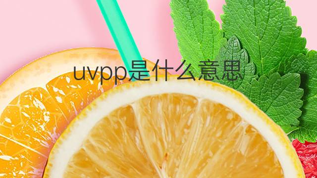 uvpp是什么意思 uvpp的中文翻译、读音、例句