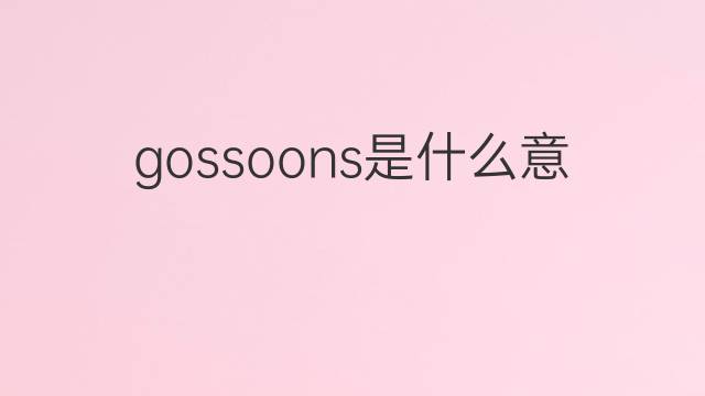 gossoons是什么意思 gossoons的中文翻译、读音、例句