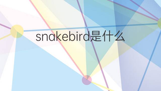 snakebird是什么意思 snakebird的中文翻译、读音、例句