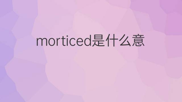 morticed是什么意思 morticed的中文翻译、读音、例句