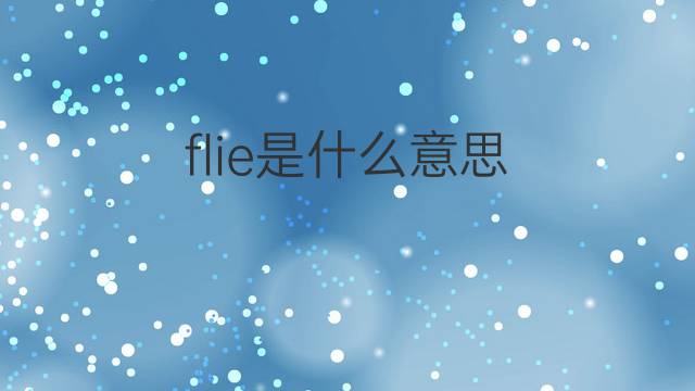flie是什么意思 flie的中文翻译、读音、例句