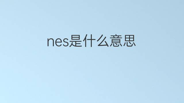 nes是什么意思 nes的中文翻译、读音、例句