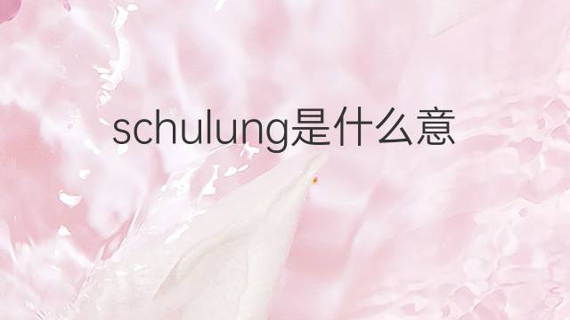 schulung是什么意思 schulung的中文翻译、读音、例句