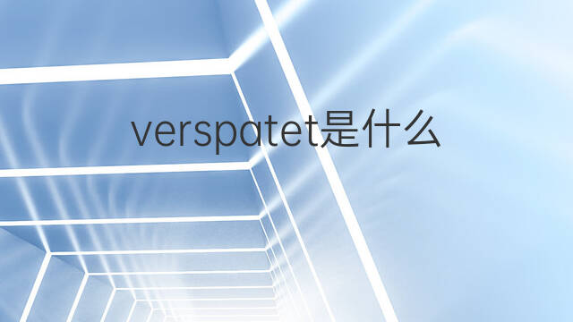 verspatet是什么意思 verspatet的中文翻译、读音、例句