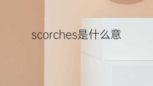 scorches是什么意思 scorches的中文翻译、读音、例句