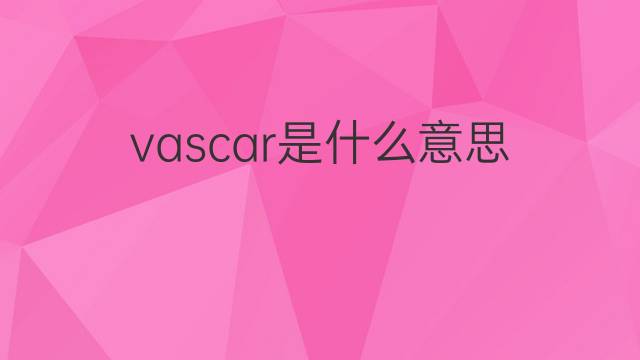 vascar是什么意思 vascar的中文翻译、读音、例句