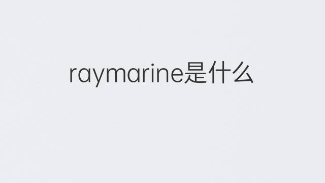 raymarine是什么意思 raymarine的中文翻译、读音、例句