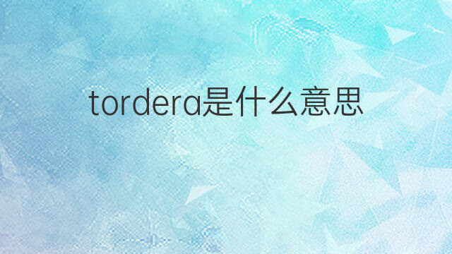 tordera是什么意思 tordera的中文翻译、读音、例句