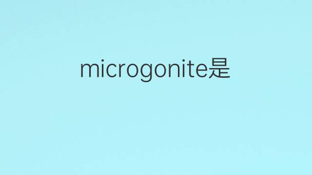 microgonite是什么意思 microgonite的中文翻译、读音、例句