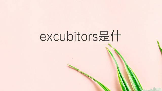 excubitors是什么意思 excubitors的中文翻译、读音、例句