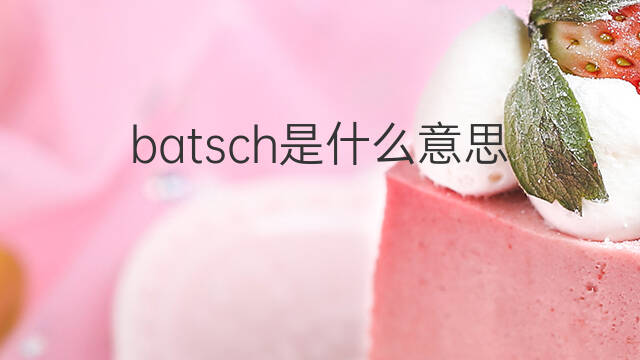 batsch是什么意思 batsch的中文翻译、读音、例句