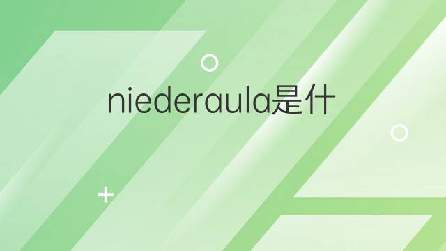niederaula是什么意思 niederaula的中文翻译、读音、例句