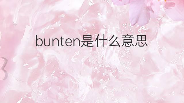 bunten是什么意思 bunten的中文翻译、读音、例句