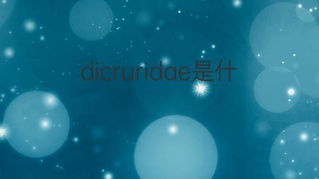 dicruridae是什么意思 dicruridae的中文翻译、读音、例句