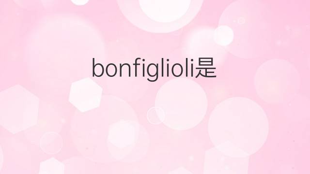 bonfiglioli是什么意思 bonfiglioli的中文翻译、读音、例句