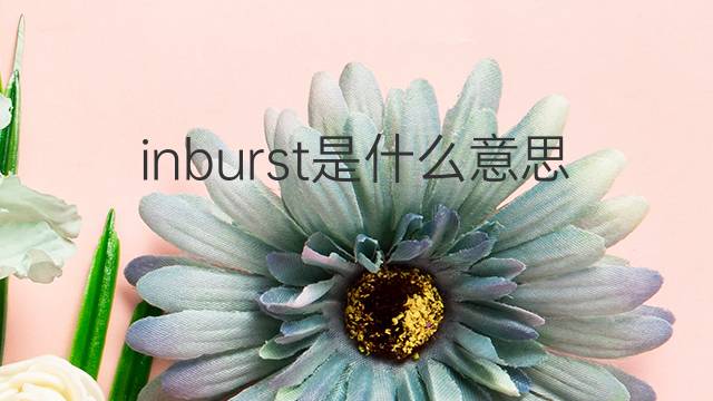 inburst是什么意思 inburst的中文翻译、读音、例句
