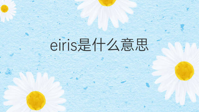 eiris是什么意思 eiris的中文翻译、读音、例句