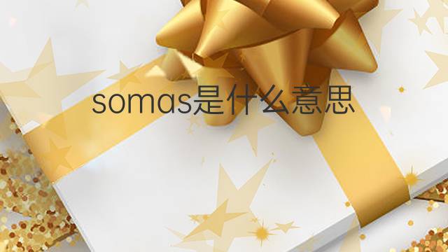 somas是什么意思 somas的中文翻译、读音、例句