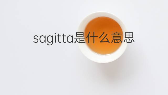 sagitta是什么意思 sagitta的中文翻译、读音、例句